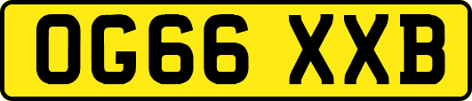 OG66XXB
