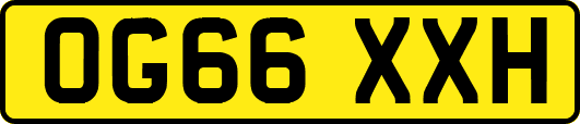 OG66XXH