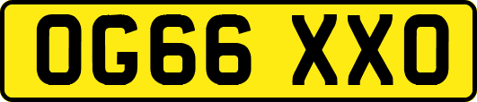 OG66XXO