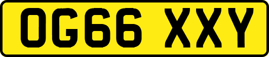 OG66XXY