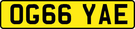 OG66YAE