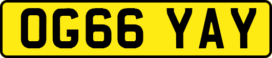OG66YAY