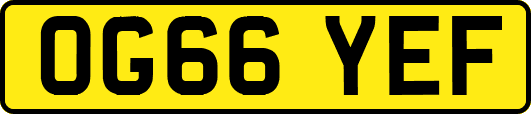 OG66YEF
