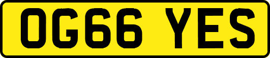 OG66YES