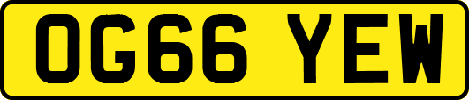 OG66YEW
