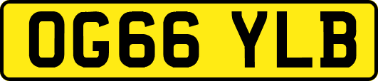 OG66YLB