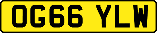 OG66YLW