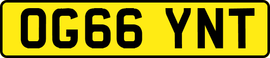 OG66YNT