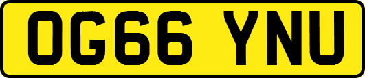 OG66YNU