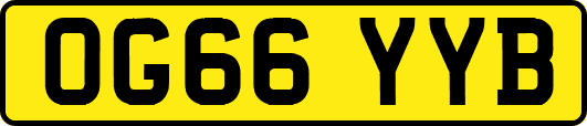 OG66YYB