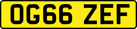 OG66ZEF