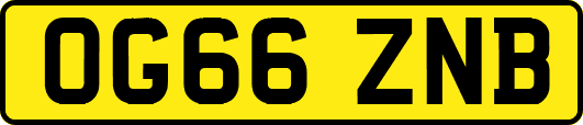 OG66ZNB