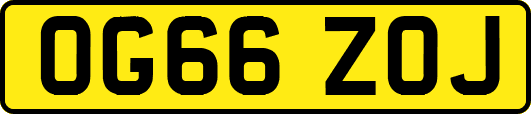 OG66ZOJ