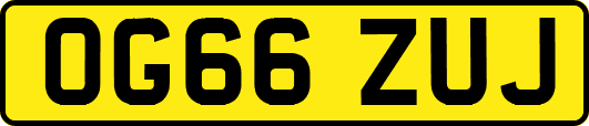 OG66ZUJ