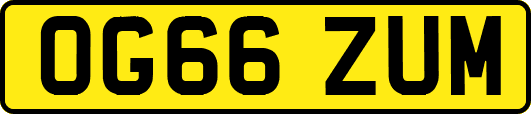 OG66ZUM