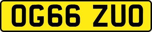 OG66ZUO