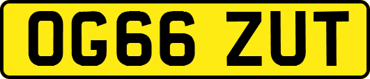 OG66ZUT