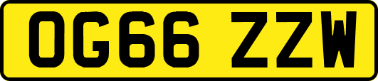 OG66ZZW