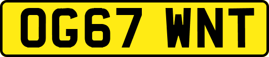 OG67WNT