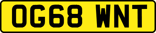 OG68WNT
