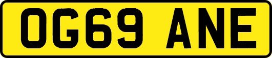 OG69ANE