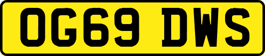 OG69DWS