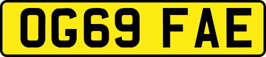 OG69FAE
