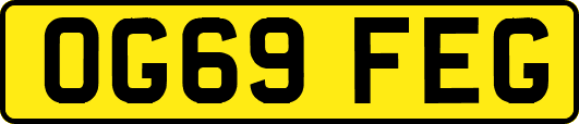 OG69FEG