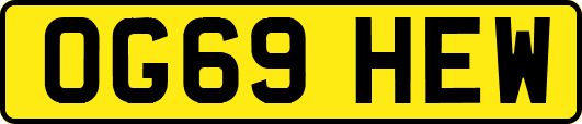 OG69HEW