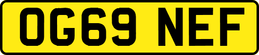 OG69NEF