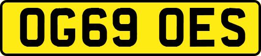 OG69OES