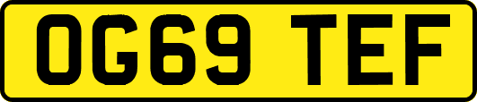 OG69TEF