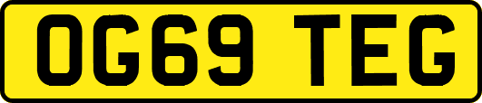 OG69TEG