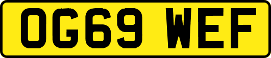 OG69WEF