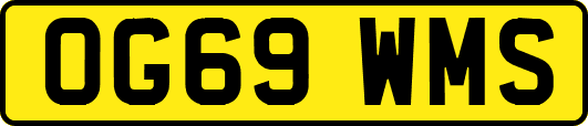 OG69WMS