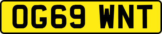 OG69WNT