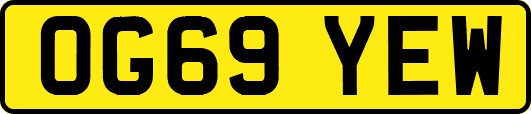OG69YEW