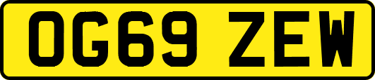 OG69ZEW