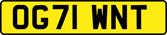 OG71WNT
