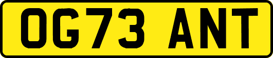 OG73ANT