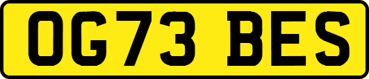 OG73BES