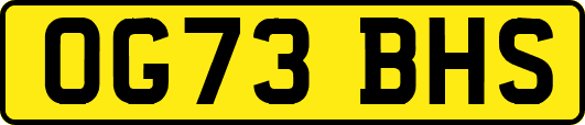 OG73BHS