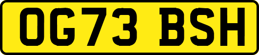 OG73BSH