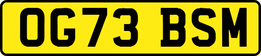OG73BSM
