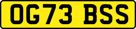 OG73BSS
