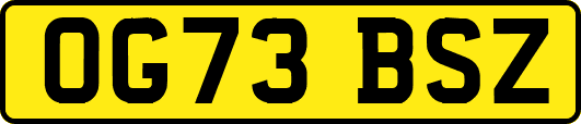OG73BSZ