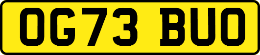 OG73BUO