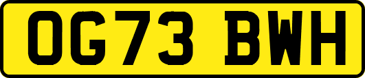 OG73BWH