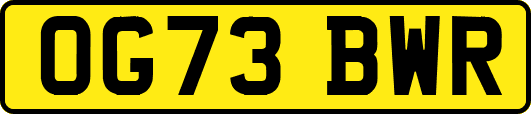 OG73BWR