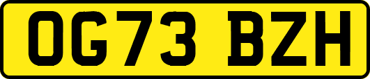 OG73BZH